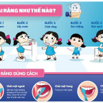 Phương pháp đánh răng đúng cách
